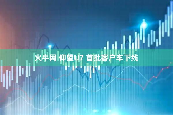 火牛网 仰望U7 首批客户车下线