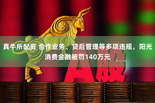真牛所配资 合作业务、贷后管理等多项违规，阳光消费金融被罚140万元