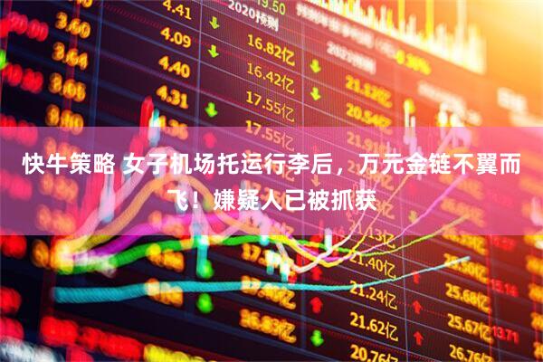 快牛策略 女子机场托运行李后，万元金链不翼而飞！嫌疑人已被抓获