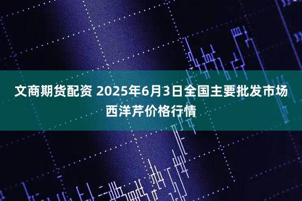 文商期货配资 2025年6月3日全国主要批发市场西洋芹价格行情