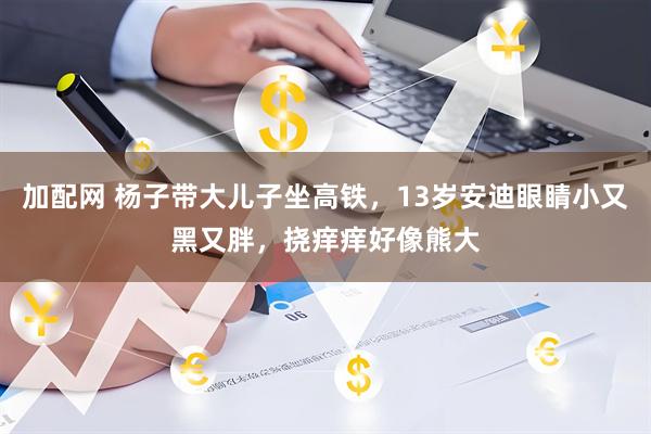 加配网 杨子带大儿子坐高铁，13岁安迪眼睛小又黑又胖，挠痒痒好像熊大