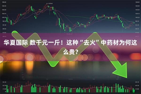 华夏国际 数千元一斤！这种“去火”中药材为何这么贵？