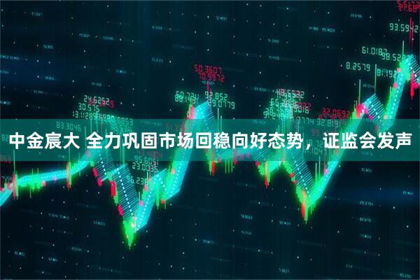 中金宸大 全力巩固市场回稳向好态势，证监会发声