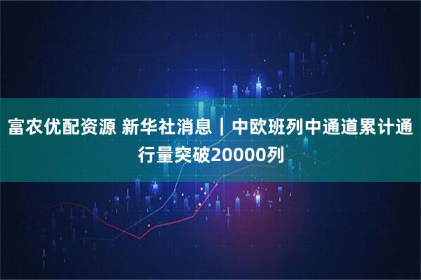 富农优配资源 新华社消息｜中欧班列中通道累计通行量突破20000列