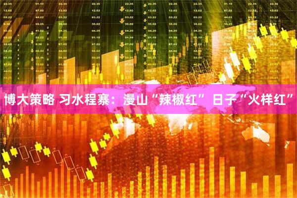 博大策略 习水程寨：漫山“辣椒红” 日子“火样红”