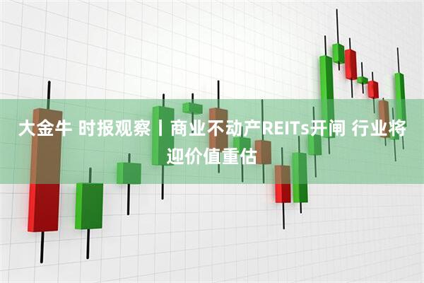 大金牛 时报观察丨商业不动产REITs开闸 行业将迎价值重估