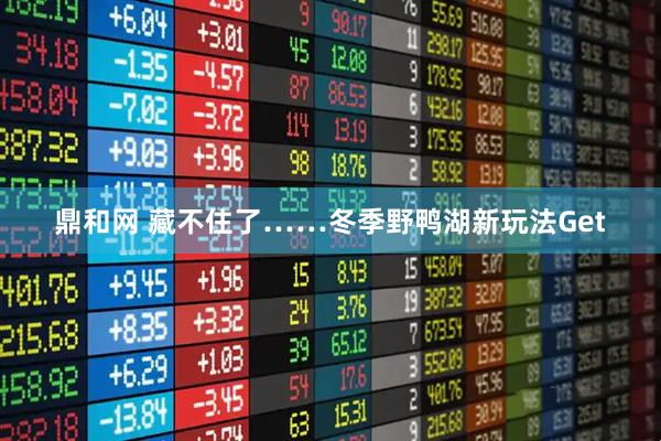 鼎和网 藏不住了……冬季野鸭湖新玩法Get